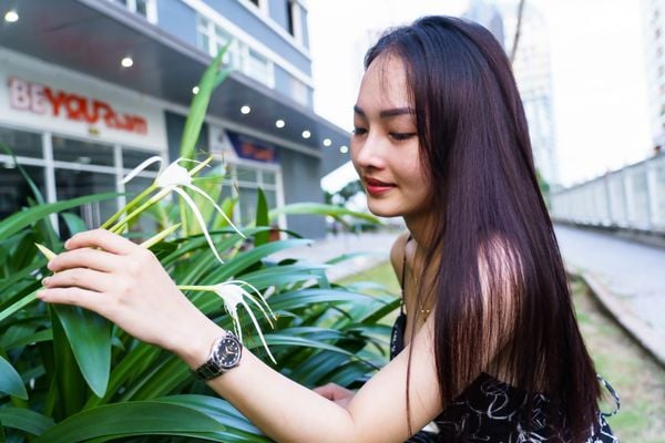 thời trang mới với đồng hồ neos