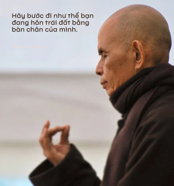 tử vi người tuổi dậu