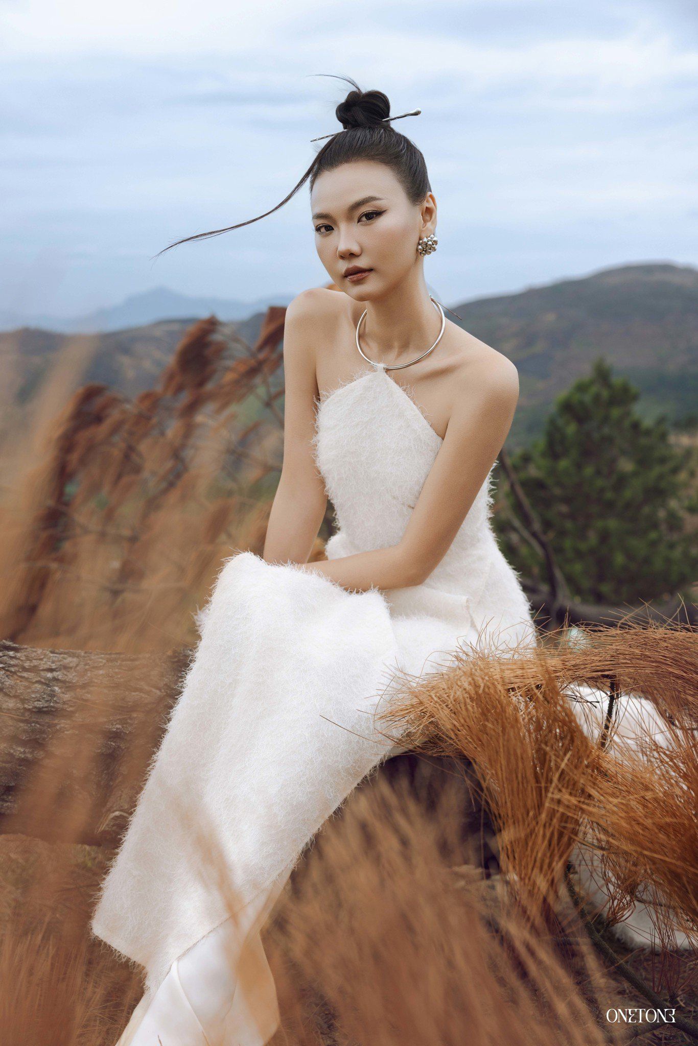 NGHIÊN VỸ