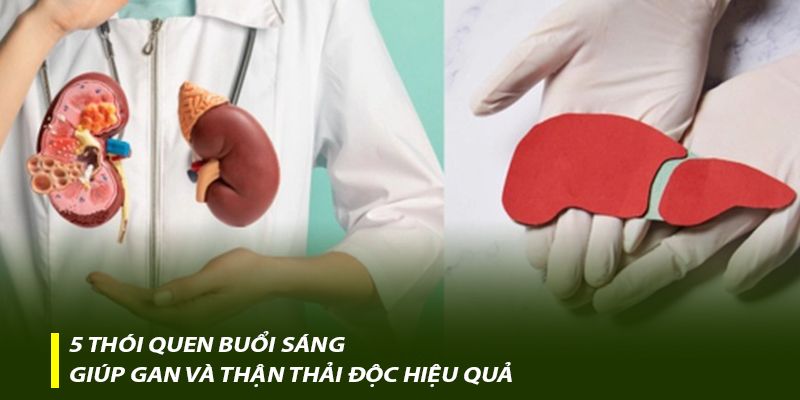 5 thói quen buổi sáng giúp gan và thận thải độc hiệu quả