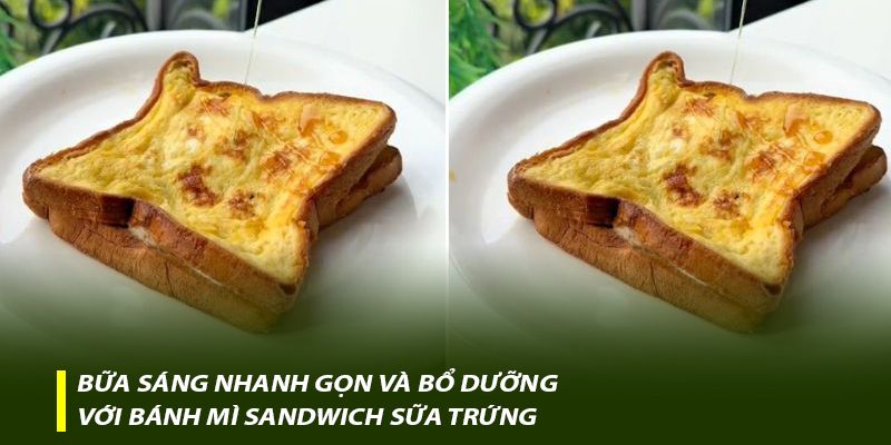 Bữa sáng nhanh gọn và bổ dưỡng với bánh mì Sandwich sữa trứng
