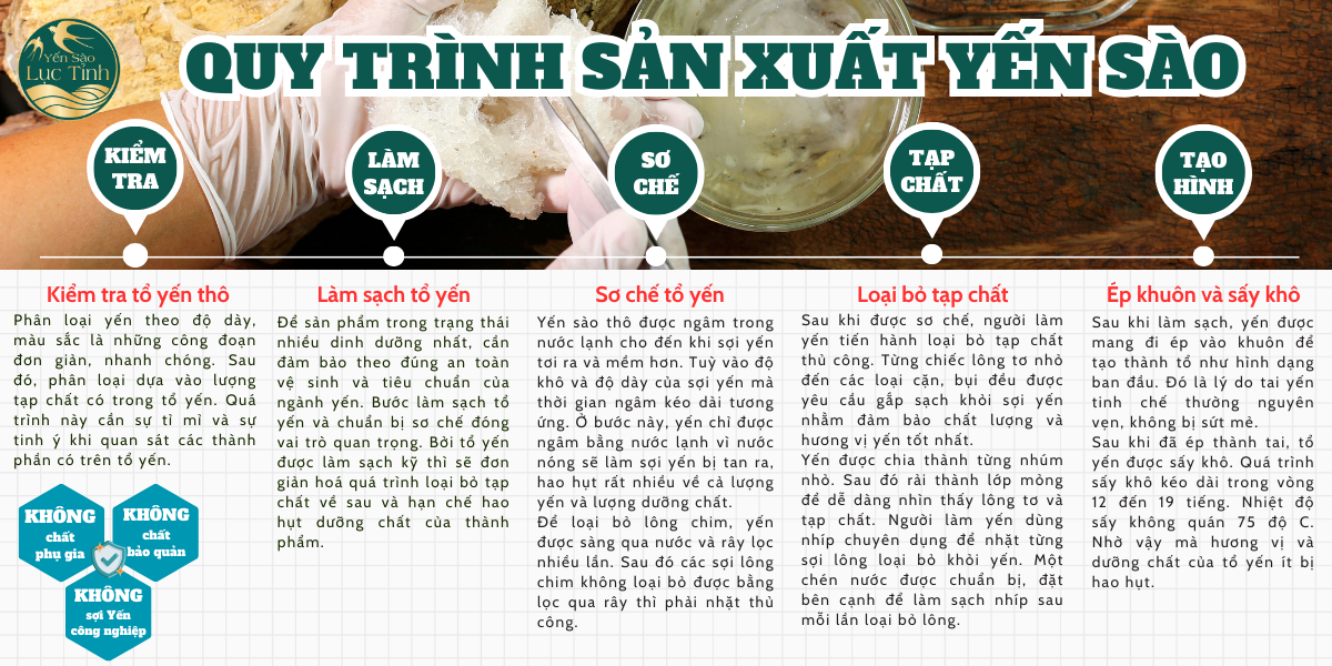 NUÔI CHIM YẾN TRONG NHÀ Ở VÙNG ĐẤT MIỀN TÂY