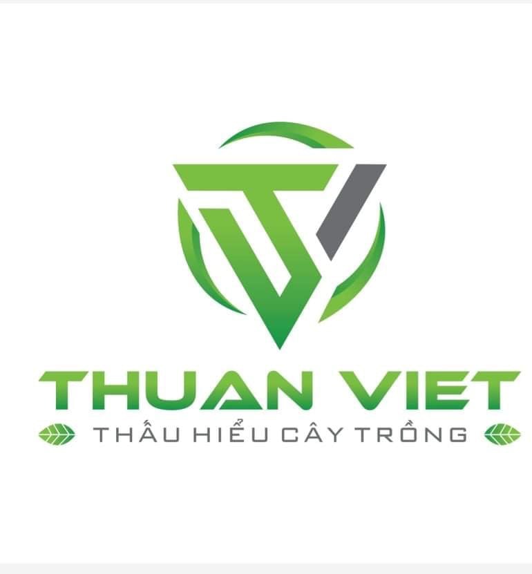 Thuận Việt