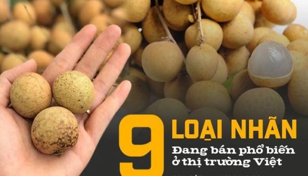 Danh sách các loại nhãn ngon phổ biến tại thị trường Việt Nam