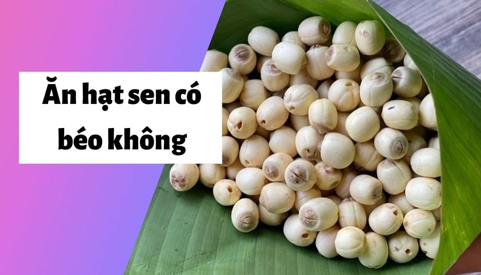 100g hạt sen bao nhiêu calo? Ăn hạt sen có béo không?