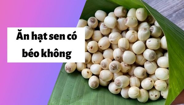 100g hạt sen bao nhiêu calo? Ăn hạt sen có béo không?