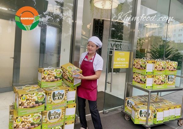 Khimfood – Cung Cấp Nhãn Lồng Hưng Yên Làm Quà Tặng Số Lượng Lớn