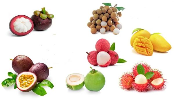 Top 10 Loại Trái Cây Cao Cấp Đắt Giá Nhất tại Việt Nam
