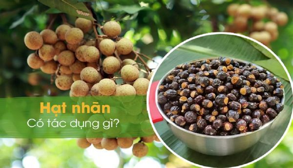 Hạt nhãn có tác dụng gì? 10+ Các bài thuốc chữa bệnh từ hạt nhãn