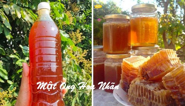 Mật Ong Hoa Nhãn là gì? Tác dụng của Mật ong hoa nhãn?