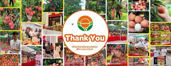 [THƯ CẢM ƠN] Khách hàng đã tin dùng VẢI TRỨNG HƯNG YÊN