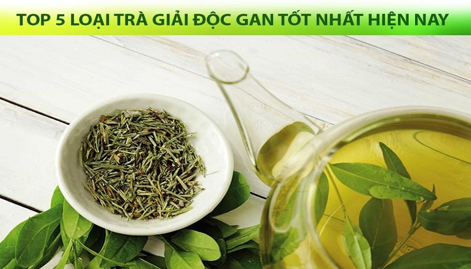 Top 5 các loại trà giải độc gan hiệu quả nhất