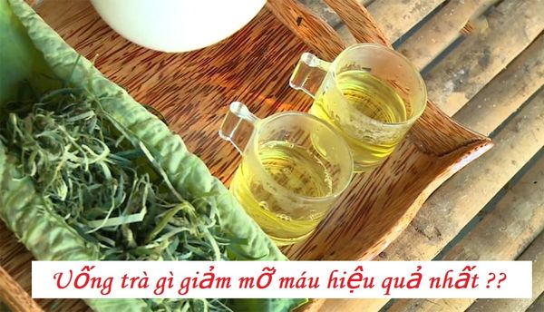 Uống trà gì để giảm mỡ máu? Top 5 loại trà giảm mỡ máu tốt nhất!