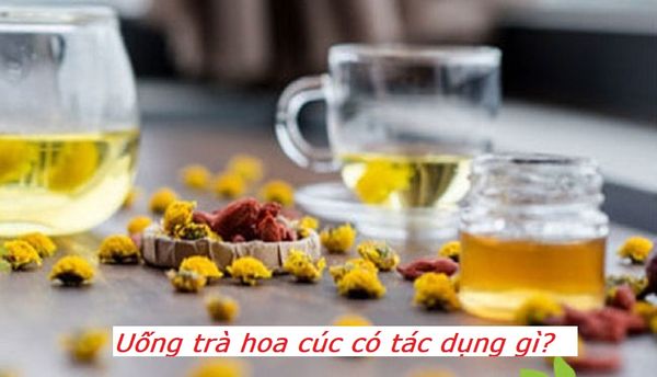 Uống trà hoa cúc có tác dụng gì? 10++ công dụng tuyệt vời của trà hoa cúc !