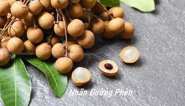 Nhãn Đường Phèn - Loại Nhãn Ngon Có Tiền Cũng Khó Mua Được