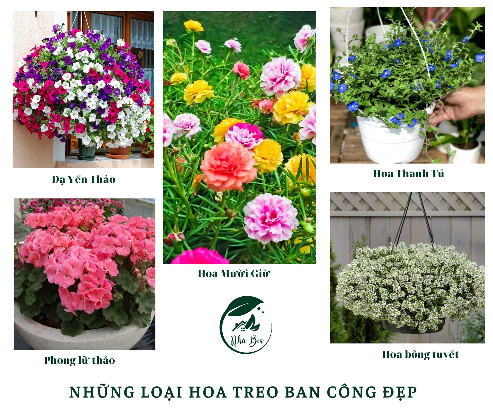 Những loại hoa treo ban công đẹp cho ngôi nhà thêm xinh xắn
