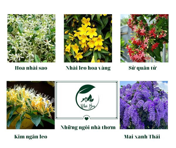 Những ngôi nhà thơm