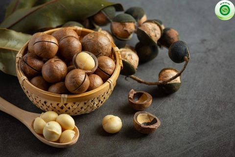 Khám phá lợi ích vàng của hạt macca - thực phẩm dinh dưỡng cao cấp