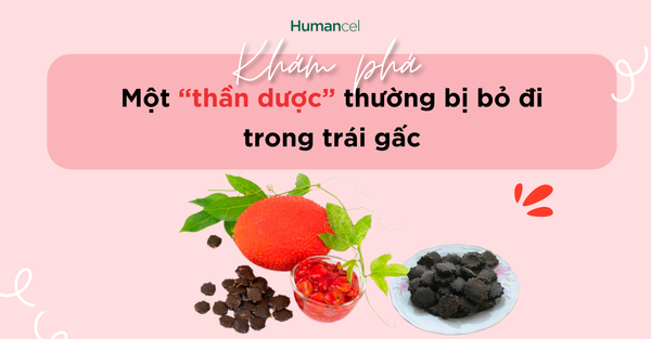CÔNG DỤNG BẤT NGỜ CỦA HẠT GẤC