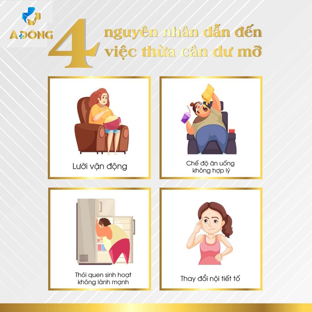 Đâu Là Nguyên Nhân Khiến Bạn Thừa Cân Dư Mỡ