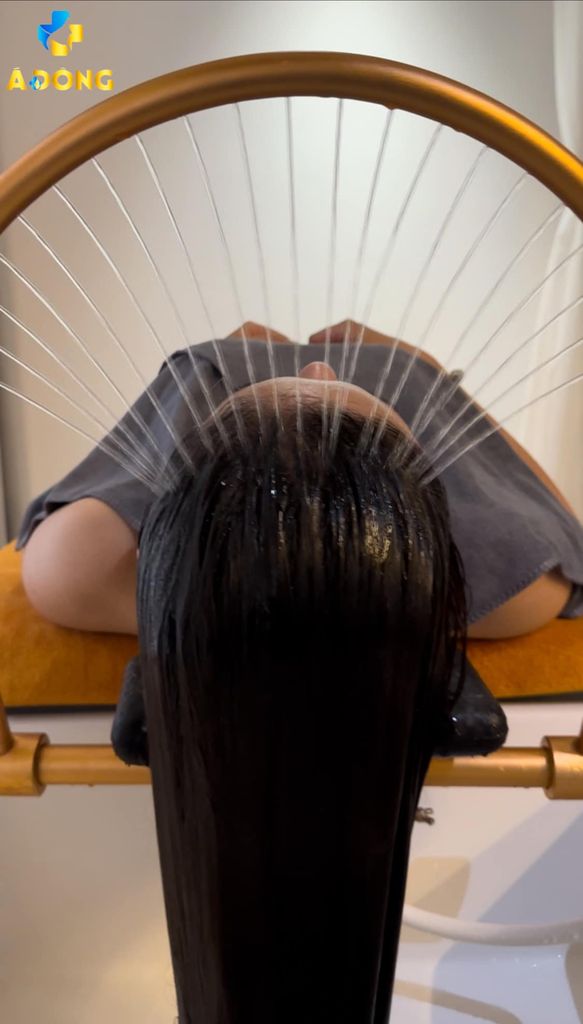 Gội Đầu Dưỡng Sinh