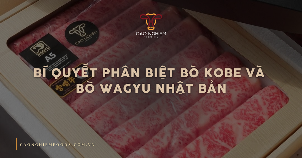 Bí quyết phân biệt bò Kobe và bò Wagyu Nhật Bản