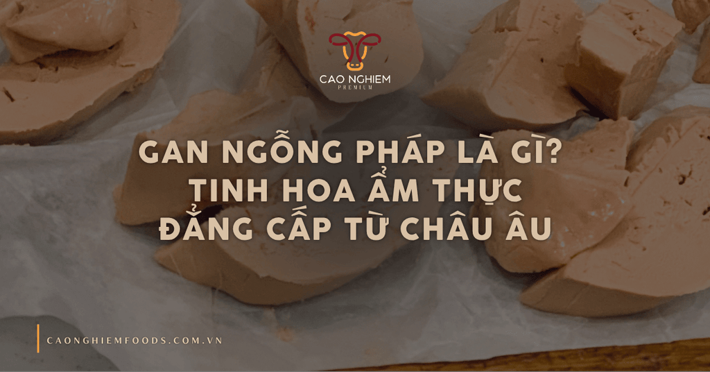 Gan ngỗng pháp là gì? Tinh hoa ẩm thực đẳng cấp từ Châu Âu