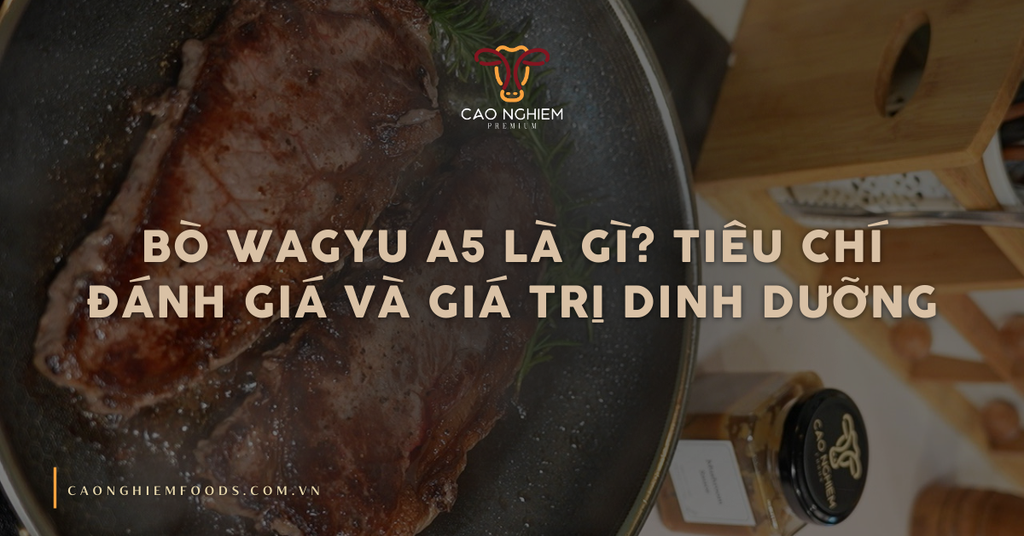 Bò Wagyu A5 là gì? Tiêu chí đánh giá và giá trị dinh dưỡng