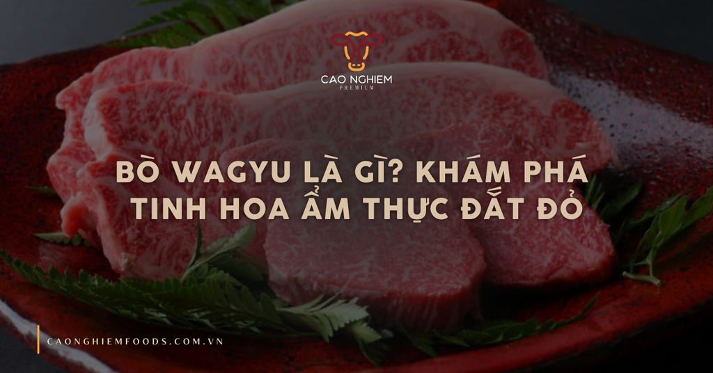 Bò Wagyu là gì? Khám phá tinh hoa ẩm thực đắt đỏ