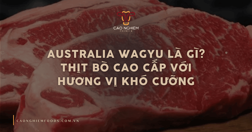Australia Wagyu là gì? Thịt bò cao cấp với hương vị khó cưỡng
