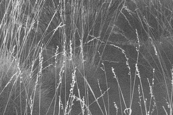 THE BEGINNING OF OUR WAY HOME