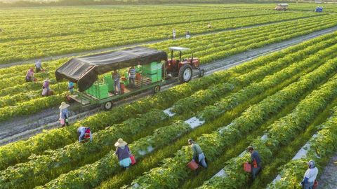 Australia hỗ trợ 2 triệu đô la Úc cho các giải pháp sáng tạo ứng phó với biến đổi khí hậu trong ngành nông nghiệp Việt Nam