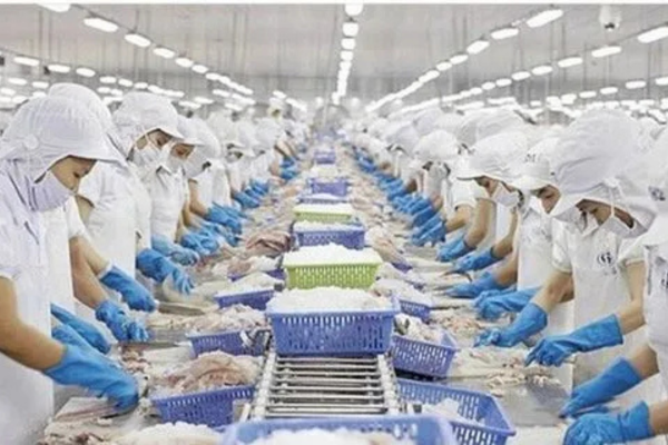 Thủy sản Việt Nam tìm cách thoát “bẫy phụ thuộc”