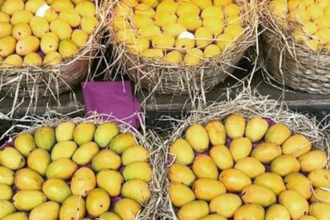 Loại quả của Việt Nam được khen 'ngon nhất thế giới': Trung Quốc, Nhật, Mỹ, EU đều mê, thu về nghìn tỷ