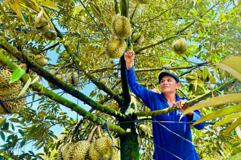 EU đến Việt Nam thanh tra sầu riêng, thanh long, ớt