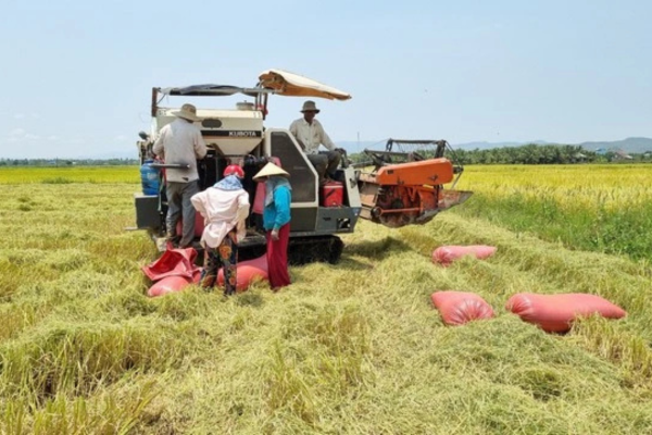 Chuyện về những triệu phú chân đất