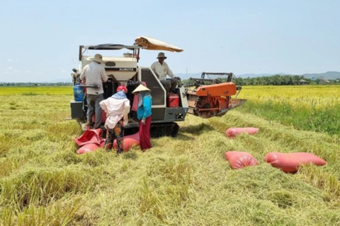 Chuyện về những triệu phú chân đất