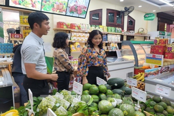 Nâng tầm và kết nối sản phẩm OCOP đến với người tiêu dùng