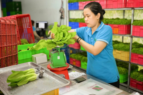 Doanh nghiệp vẫn chưa sẵn sàng thực thi cơ chế CBAM
