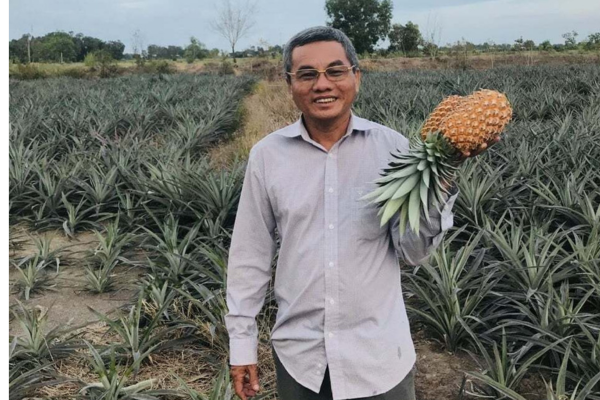 Tỷ phú Tây Ninh đào rãnh vùng đất phèn, trên trồng cây ra quả ngon, dưới nuôi cá đặc sản, thu 10 tỷ/năm