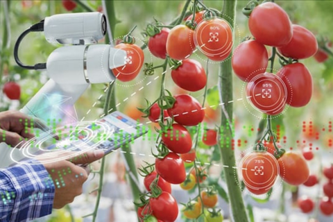 Phát triển kinh tế số: Cơ hội cho nông sản Việt vươn xa