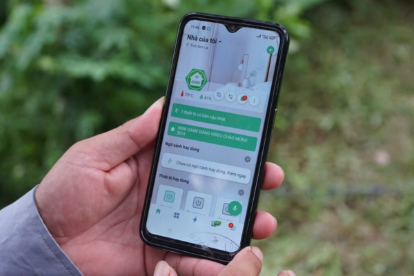 Chăm sóc chanh leo bằng điện thoại, quả sai trĩu