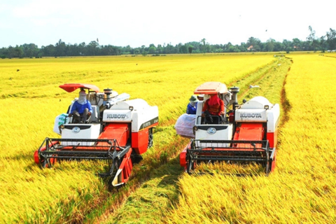 Tổng điều tra nông thôn, nông nghiệp toàn quốc