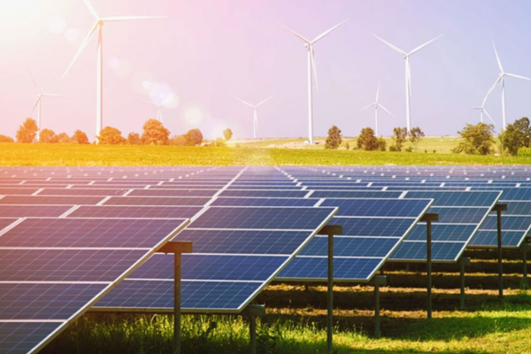 Marketer Hino Nguyễn