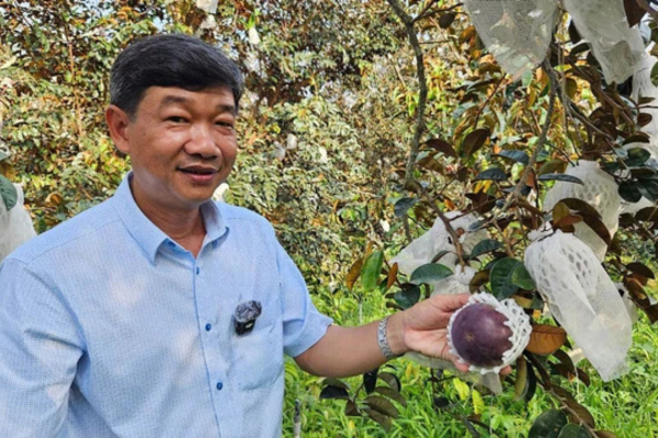 Xây dựng vùng sản xuất sạch