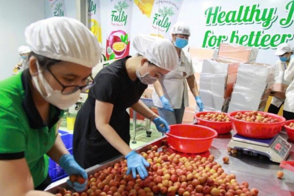 Tăng sức cạnh tranh cho nông sản mùa vụ