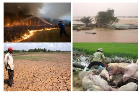 Loạt chính sách mới về nông nghiệp, môi trường: Từ quản lý rừng đến chống biến đổi khí hậu