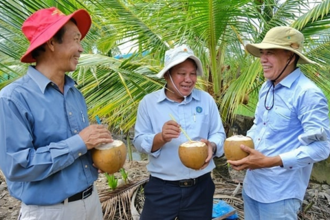 Dừa Việt Nam đứng trước cơ hội bứt phá xuất khẩu