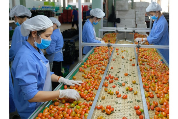 Ba nhóm giải pháp 