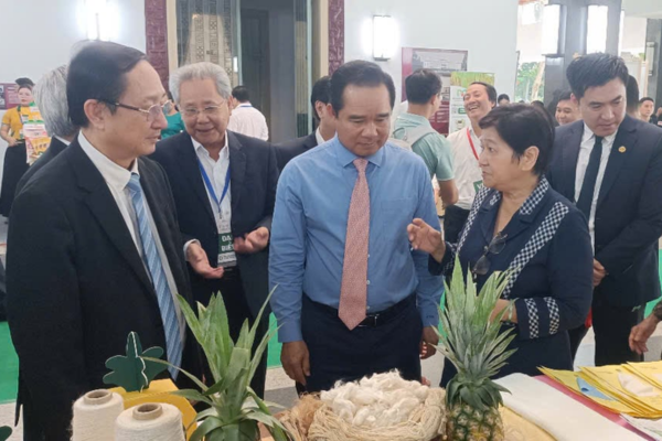 Từ lá đến vỏ, cây dứa đang đổi màu bức tranh kinh tế xanh Việt Nam